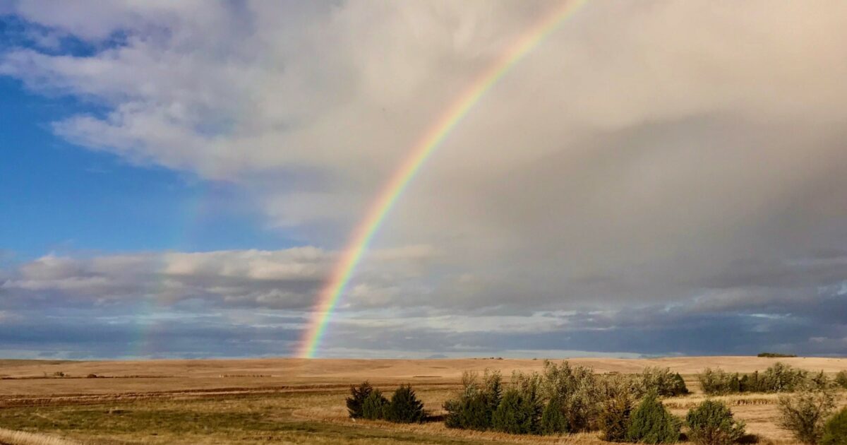 First Fidelity Bank & Tripp… South Dakota Community Foundation