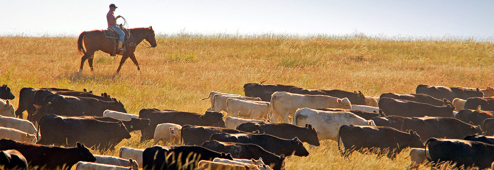 First Dakota National Bank Blunt… | South Dakota Community Foundation