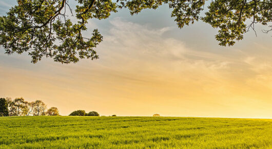 Farm sunset