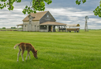 What Is a Community Foundation: 