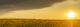 Sunflowers with sunset South Dakota