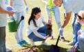 People planting a tree